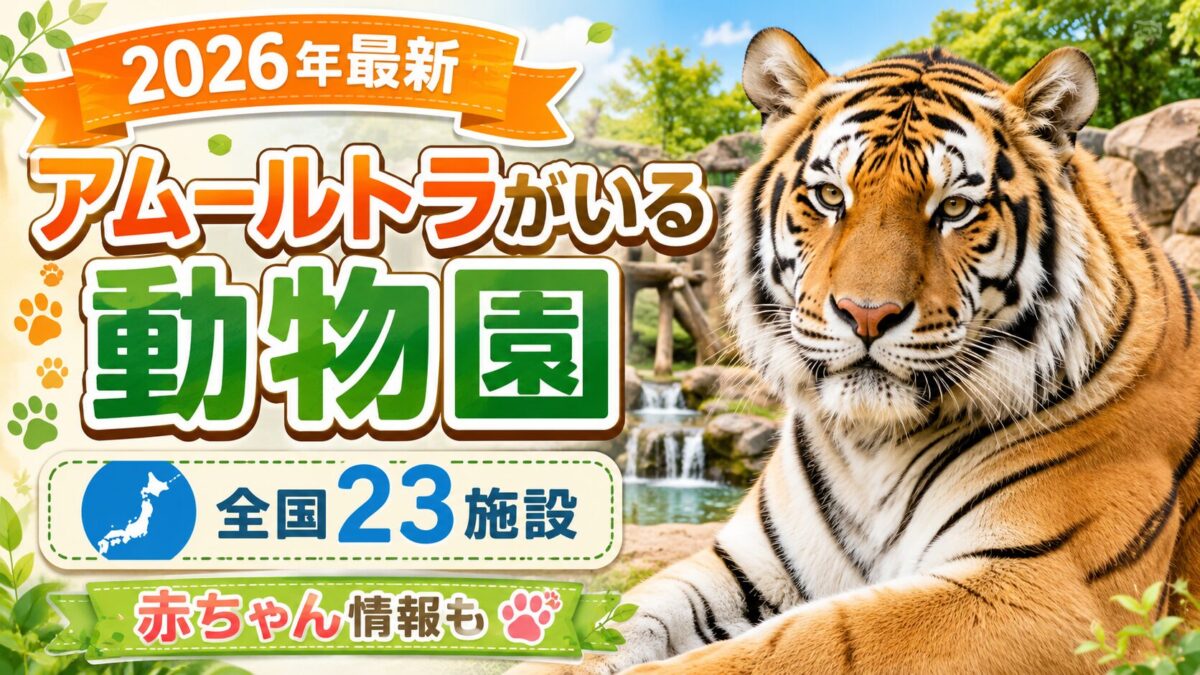 アムールトラがいる動物園 全国23施設・赤ちゃん情報のアイキャッチ