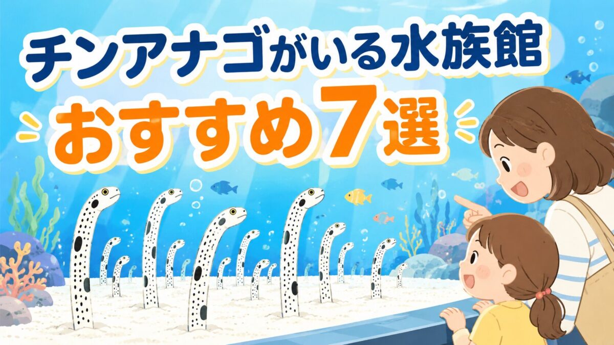 チンアナゴがいる水族館おすすめ7選のアイキャッチ