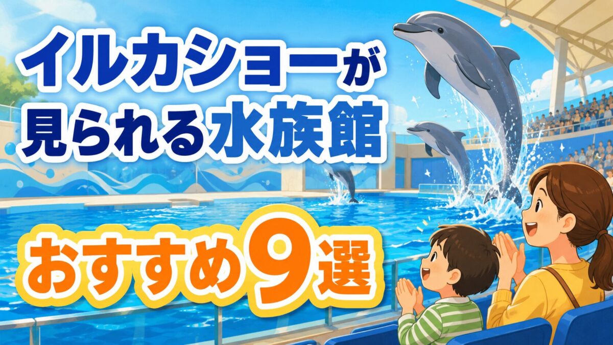 イルカショーが見られる水族館おすすめ9選のアイキャッチ
