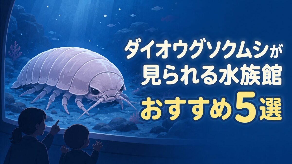 ダイオウグソクムシが見られる水族館おすすめ5選のアイキャッチ