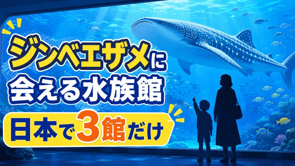 ジンベエザメに会える水族館は日本で3館だけのアイキャッチ
