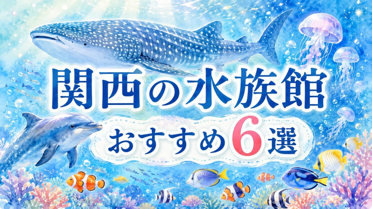 関西の水族館めぐり。大水槽を泳ぐジンベエザメやイルカ、クラゲのイメージイラスト