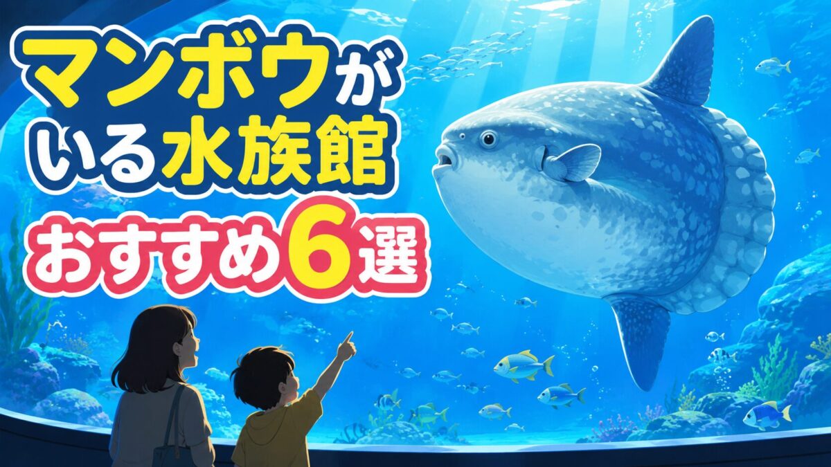 マンボウがいる水族館おすすめ6選のアイキャッチ