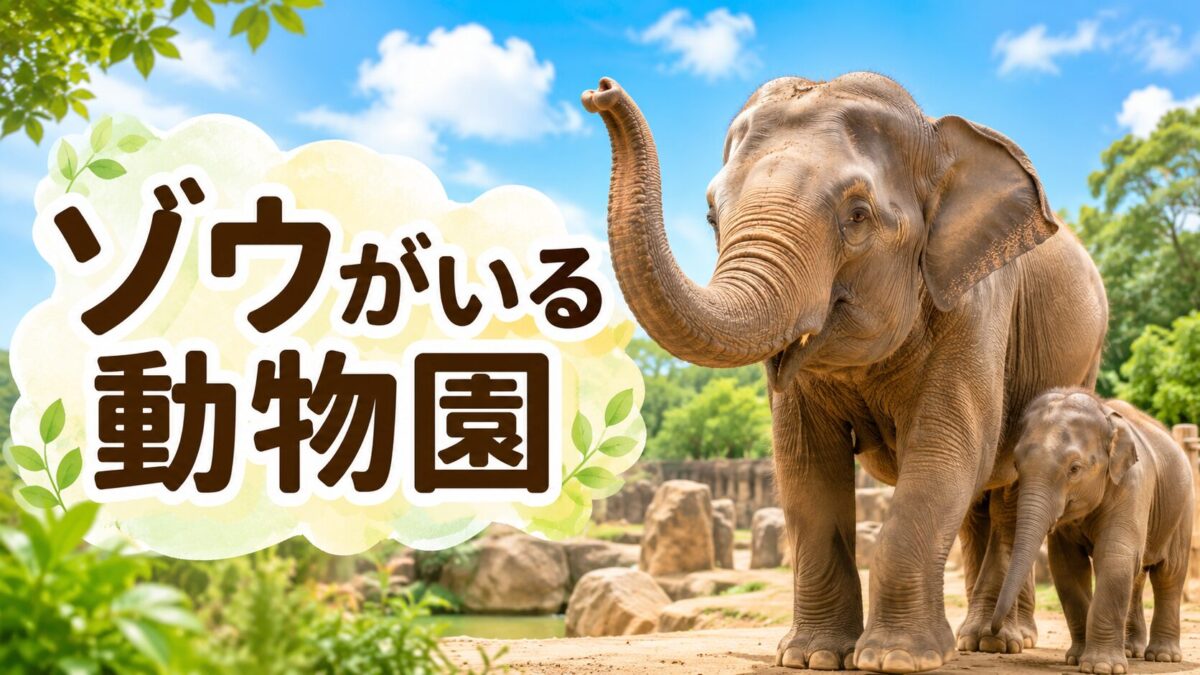 ゾウがいる動物園（アイキャッチ）
