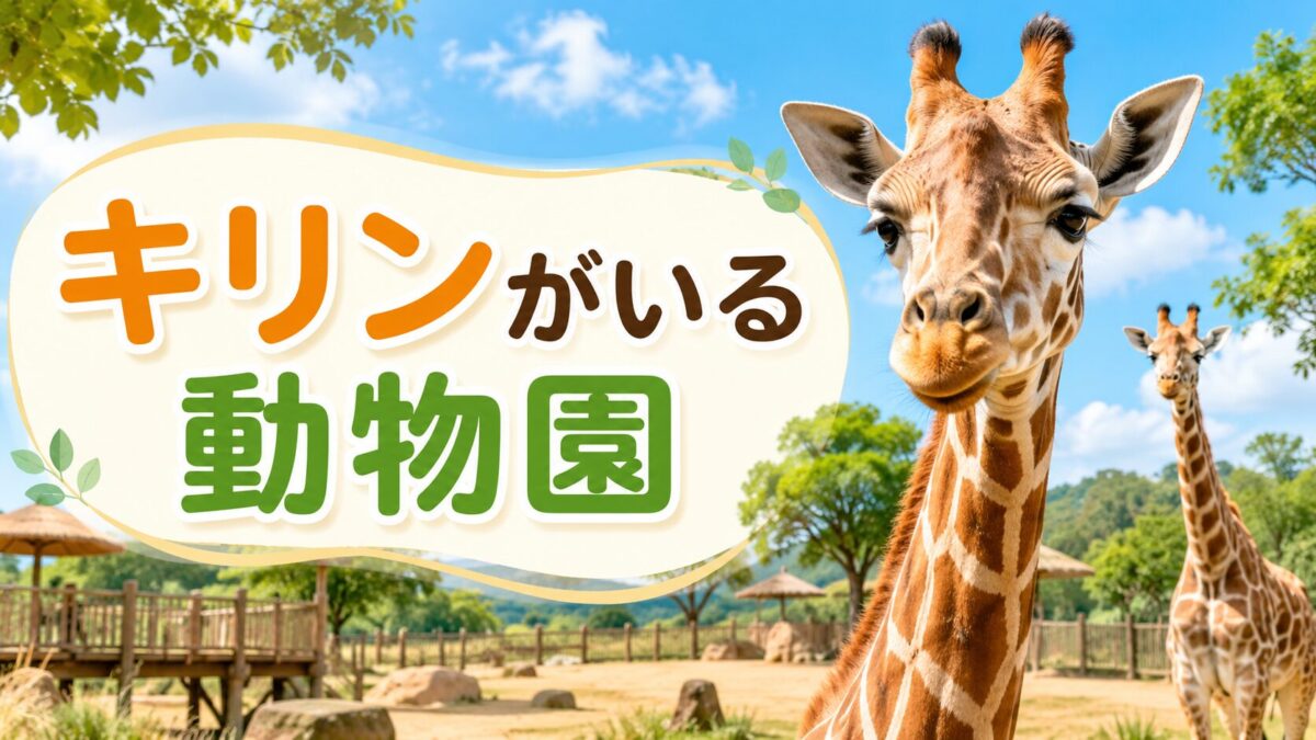 キリンがいる動物園（アイキャッチ）