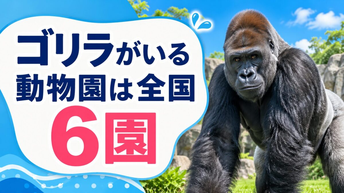 ゴリラがいる動物園は全国6園（アイキャッチ）