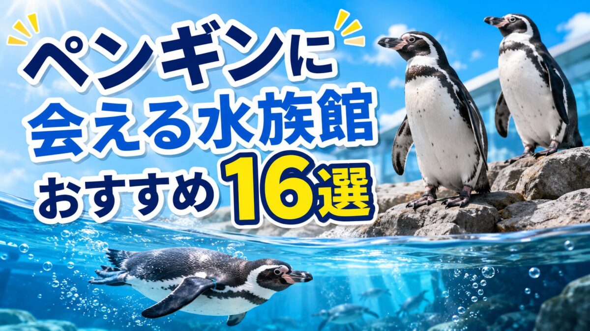 ペンギンに会える水族館おすすめ16選（アイキャッチ）