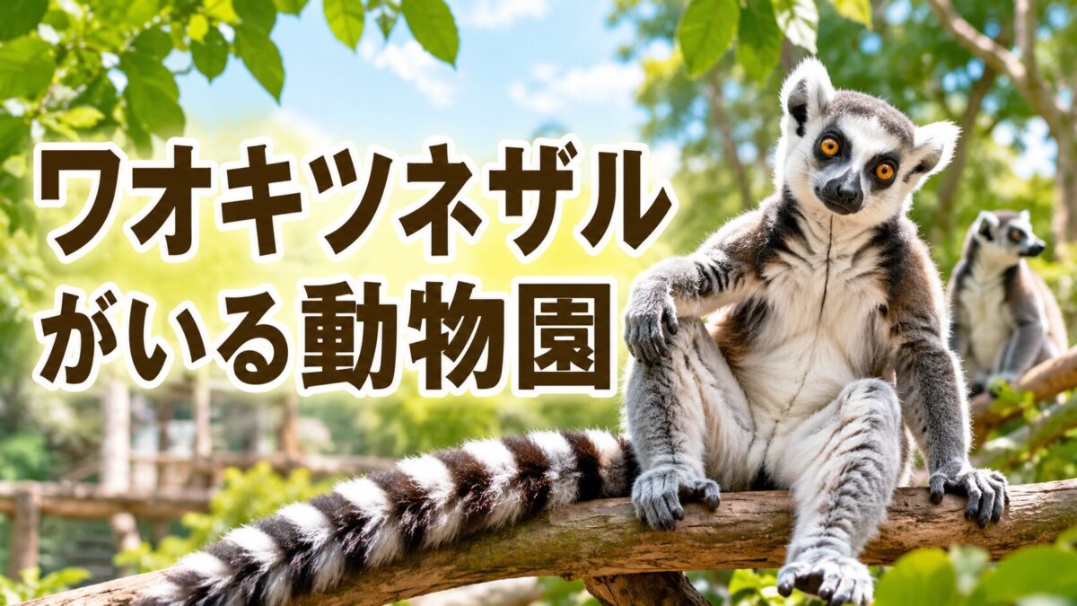 ワオキツネザルがいる動物園（アイキャッチ）
